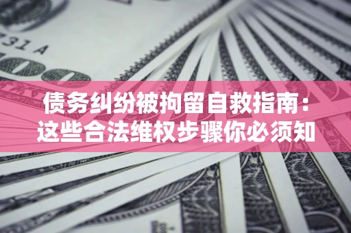 武汉债务纠纷被拘留自救指南：这些合法维权步骤你必须知道！