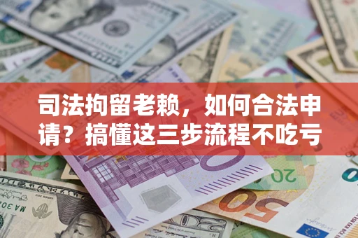 武汉司法拘留老赖，如何合法申请？搞懂这三步流程不吃亏！