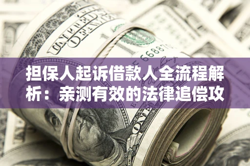 武汉担保人起诉借款人全流程解析：亲测有效的法律追偿攻略