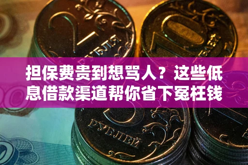 武汉担保费贵到想骂人？这些低息借款渠道帮你省下冤枉钱