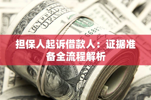 武汉担保人起诉借款人：证据准备全流程解析