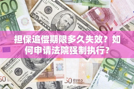 武汉担保追偿期限多久失效？如何申请法院强制执行？