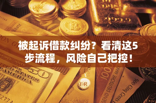 武汉被起诉借款纠纷？看清这5步流程，风险自己把控！
