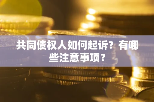 武汉共同债权人如何起诉？有哪些注意事项？